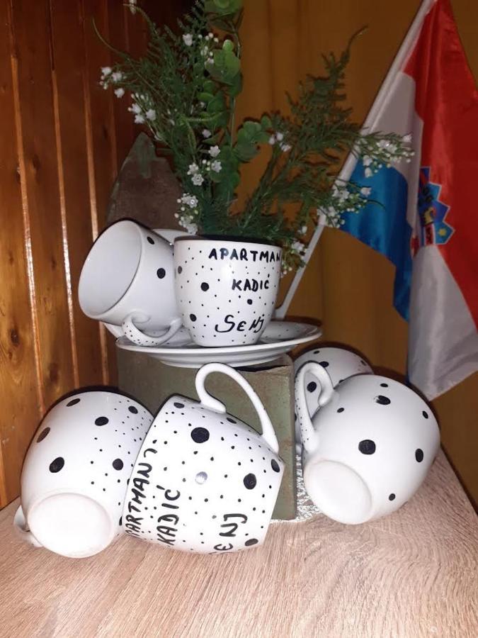 Apartman Kadic Senj Senj  Zewnętrze zdjęcie